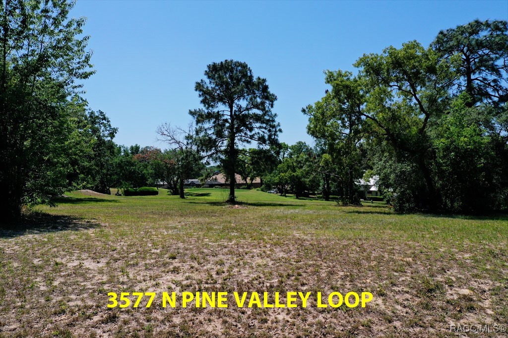 3577 N Pine Valley Loop, Lecanto, Florida image 21