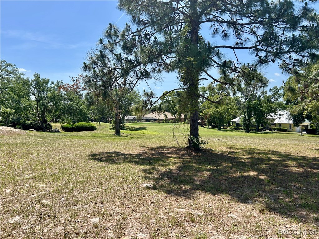 3577 N Pine Valley Loop, Lecanto, Florida image 7