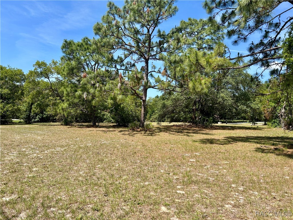 3577 N Pine Valley Loop, Lecanto, Florida image 11