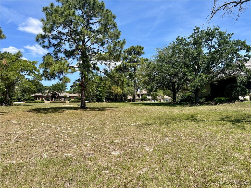 3577 N Pine Valley Loop, Lecanto, Florida image 10
