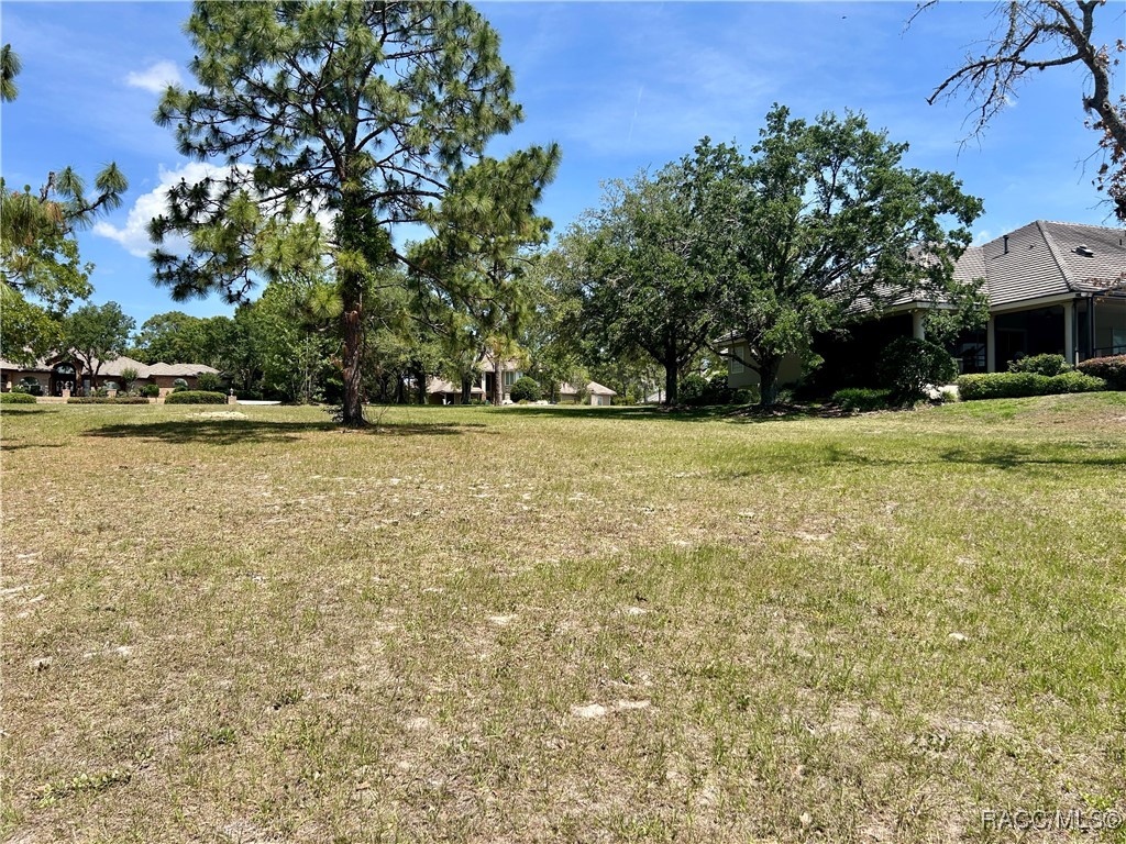 3577 N Pine Valley Loop, Lecanto, Florida image 9