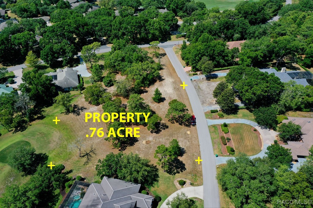 3577 N Pine Valley Loop, Lecanto, Florida image 2