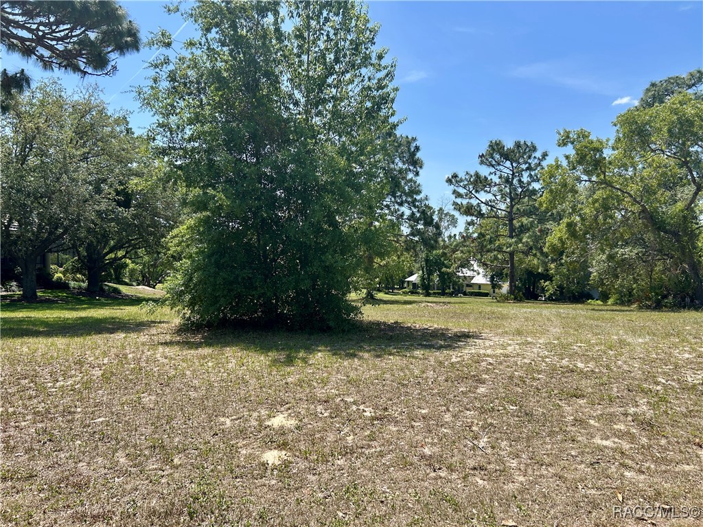 3577 N Pine Valley Loop, Lecanto, Florida image 5