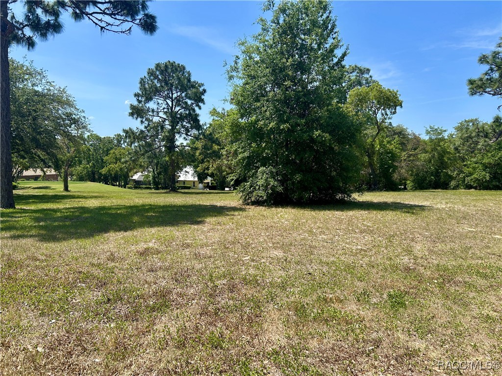 3577 N Pine Valley Loop, Lecanto, Florida image 1