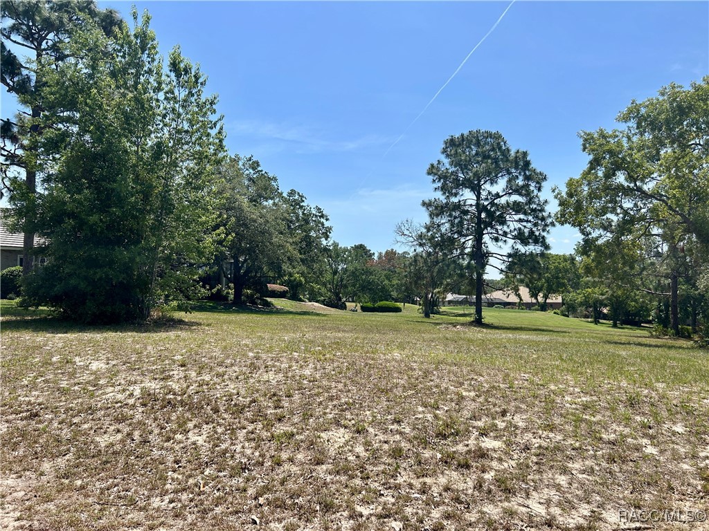 3577 N Pine Valley Loop, Lecanto, Florida image 6