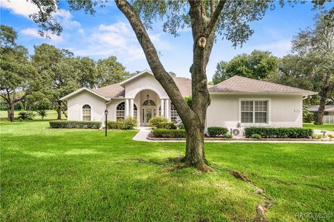 171 E Joplin Court Hernando FL 34442