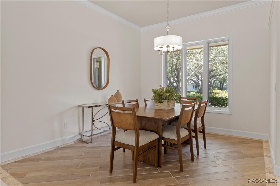 3230 N Pinelake Village Point, Lecanto, New York image 17