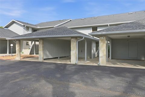 Condo For Sale - 771 E Hartford Street #3B<br/> Hernando, FL 34442
