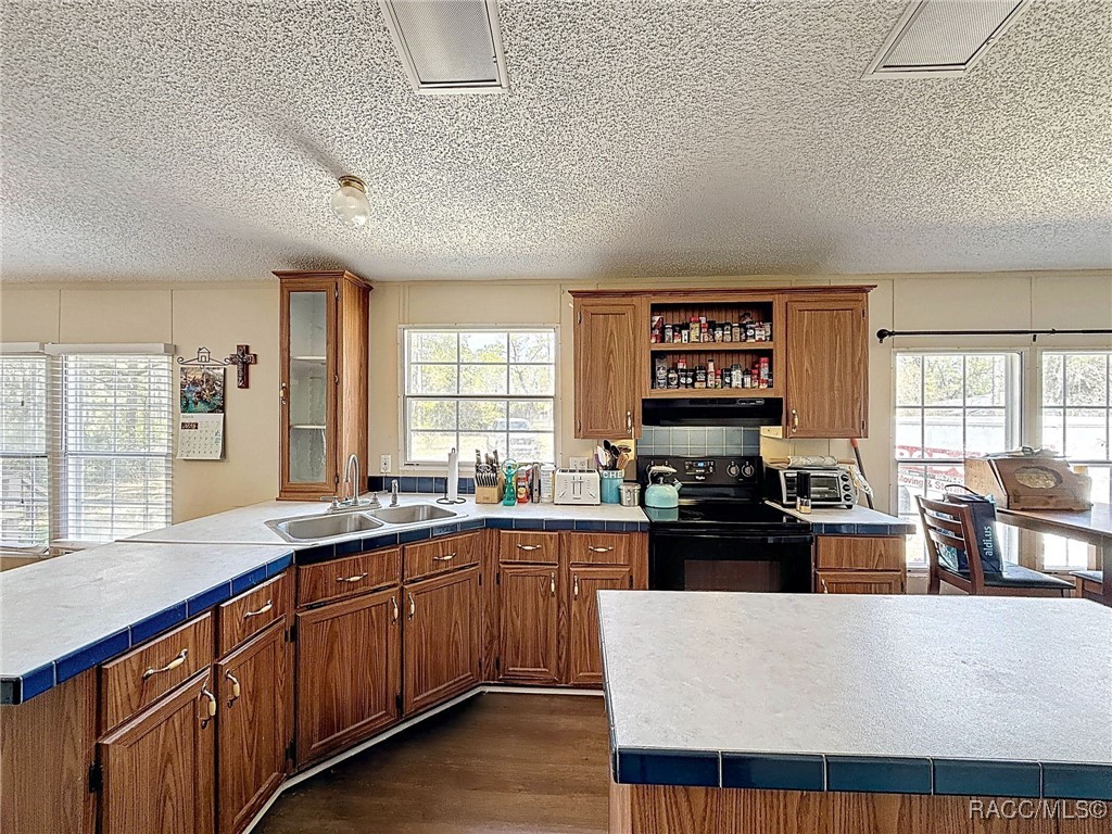 6540 W Holiday Street, Homosassa, Florida image 9