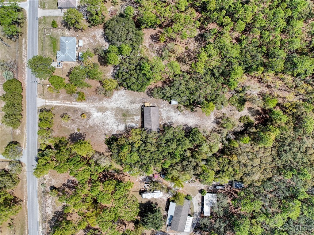 6540 W Holiday Street, Homosassa, Florida image 50