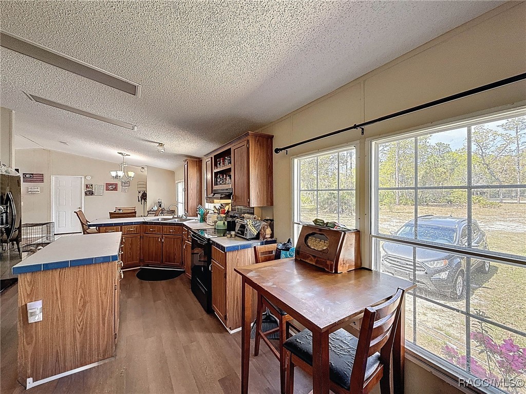 6540 W Holiday Street, Homosassa, Florida image 12