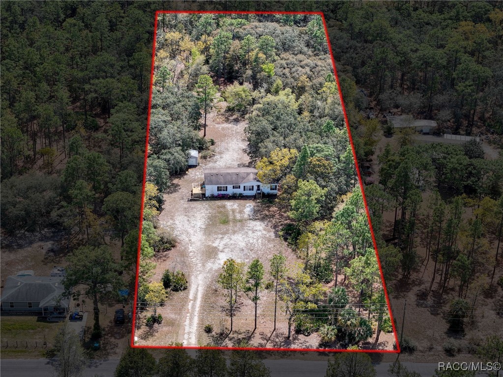 6540 W Holiday Street, Homosassa, Florida image 2