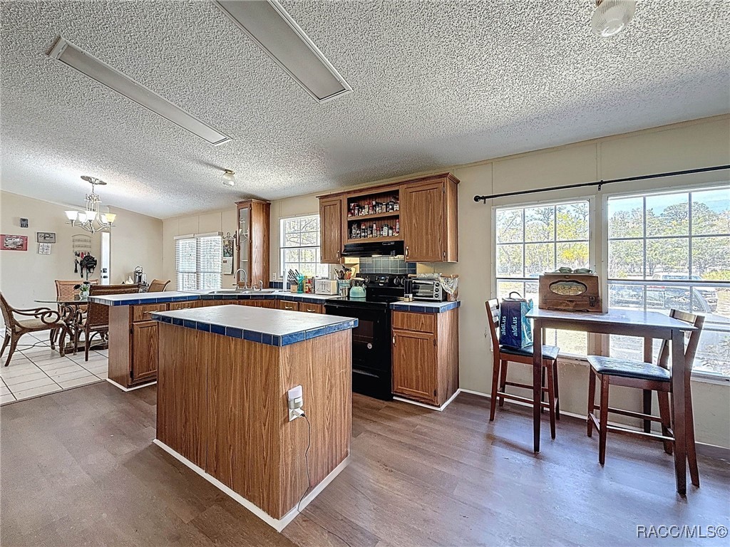 6540 W Holiday Street, Homosassa, Florida image 10