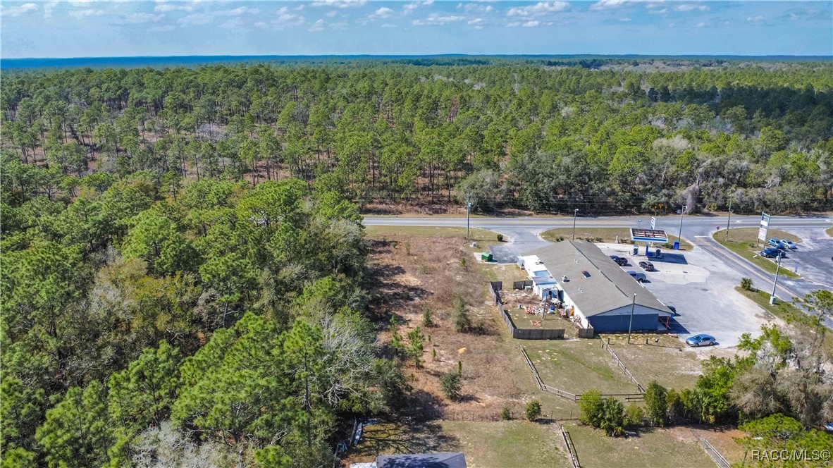 4928 E Arbor Street, Inverness, Florida image 9