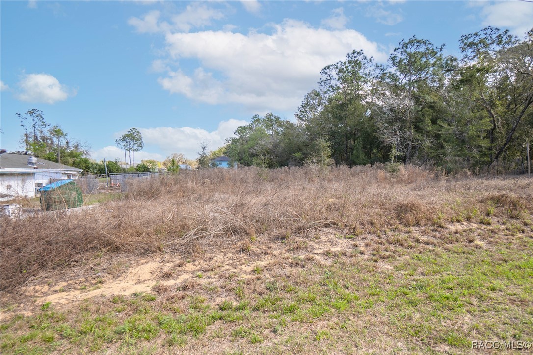 4928 E Arbor Street, Inverness, Florida image 4