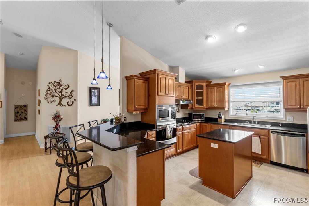 2168 N Watersedge Drive, Crystal River, Florida image 9