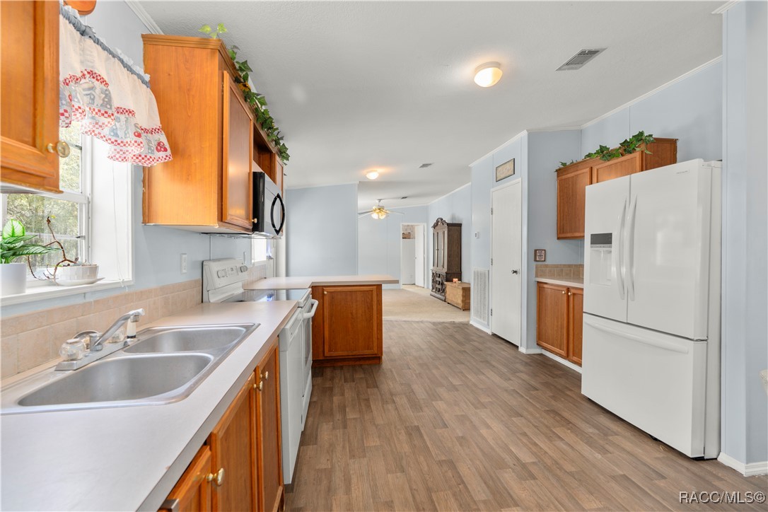 1129 E La Salle Street, Hernando, Florida image 9