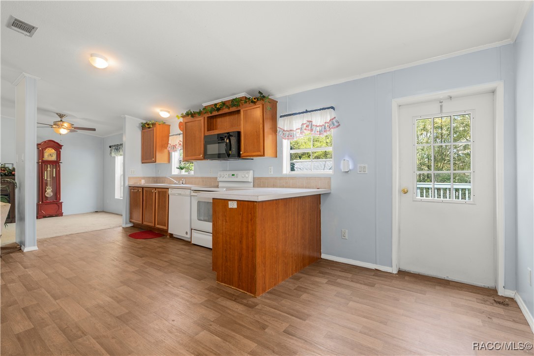 1129 E La Salle Street, Hernando, Florida image 13