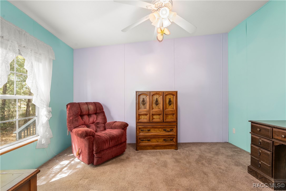 1129 E La Salle Street, Hernando, Florida image 19