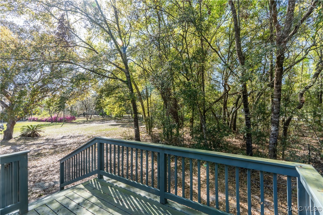1129 E La Salle Street, Hernando, Florida image 2