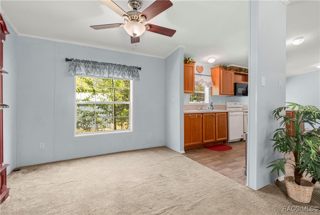 1129 E La Salle Street, Hernando, Florida image 7