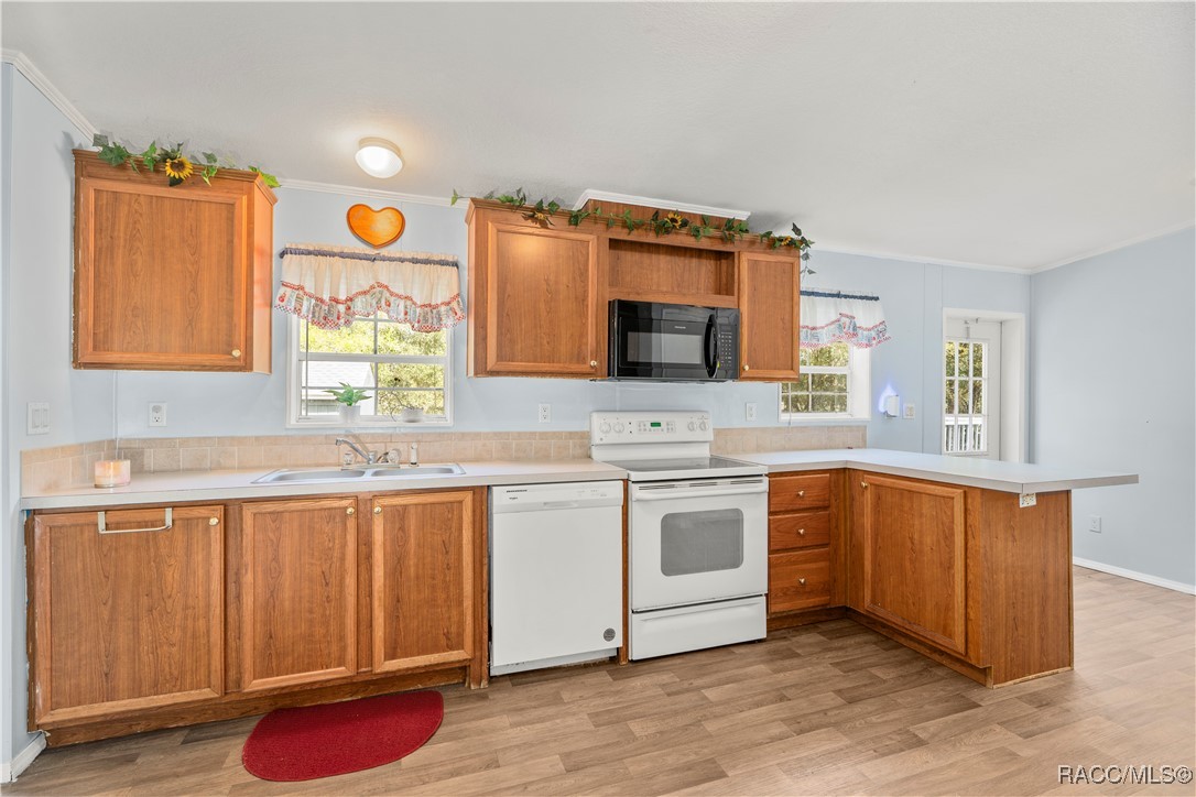 1129 E La Salle Street, Hernando, Florida image 10