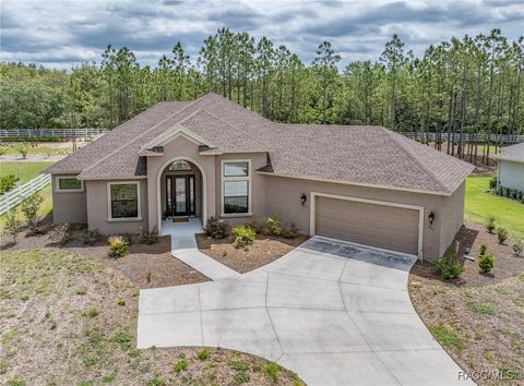 221 S Paladinn Circle Inverness FL 34453