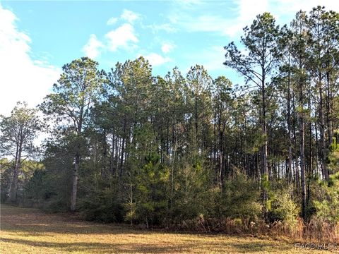 Vacant Land For Sale - 143 S Kensington Avenue<br/> Lecanto, FL 34461