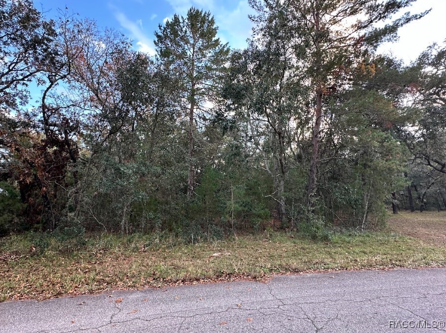 9 Mimosa Court #B33, Homosassa, New York image 1