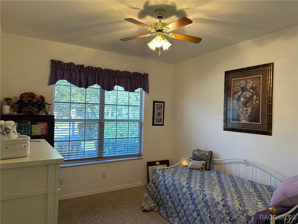 780 W Skyview Crossing Drive, Hernando, Florida image 32