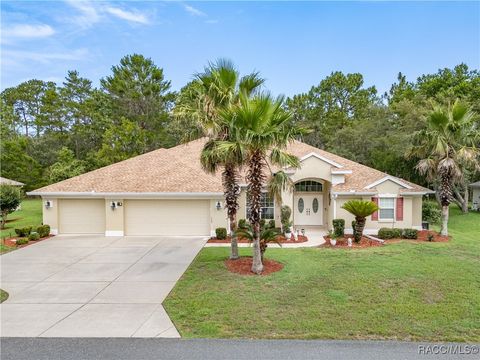 31 Cactus Street Homosassa FL 34446