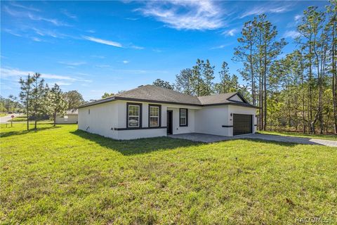 Homes For Sale - 7841 N Santos Drive<br/> Citrus Springs, FL 34434