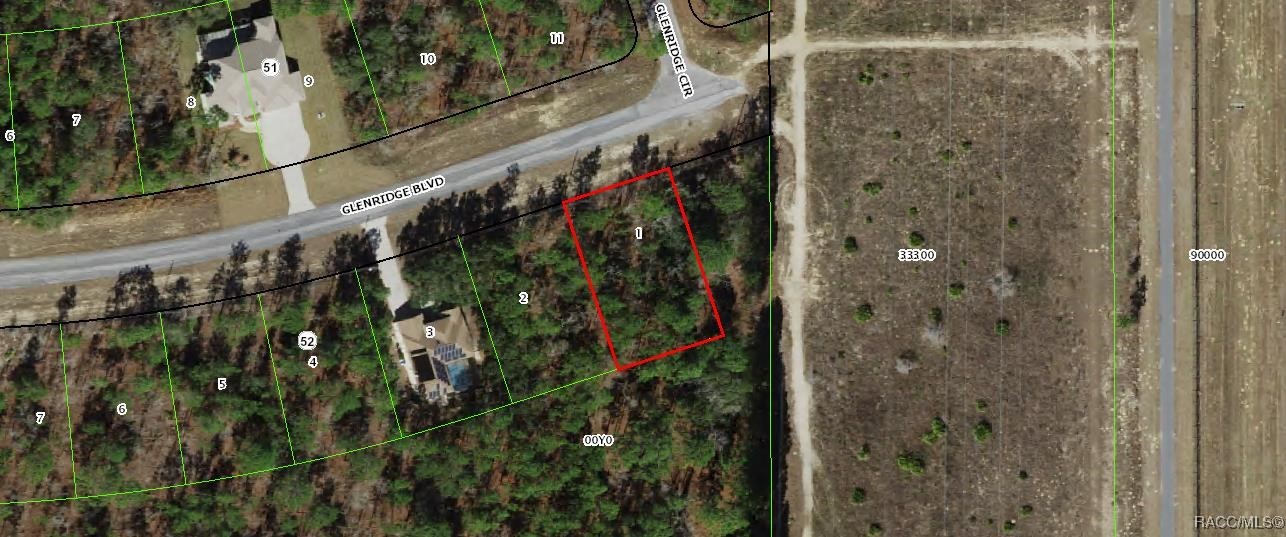 73 Glenridge Boulevard, Homosassa, Florida image 1