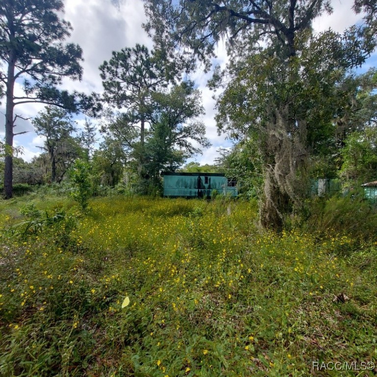 6661 W Green Acres Street, Homosassa, Florida image 12