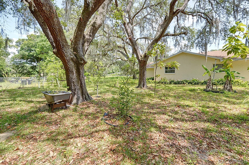 5605 E Jasmine Lane, Inverness, Florida image 33