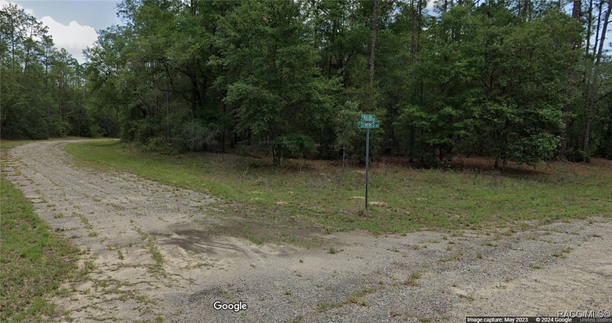 164 E Simms Lane, Dunnellon, Florida image 1