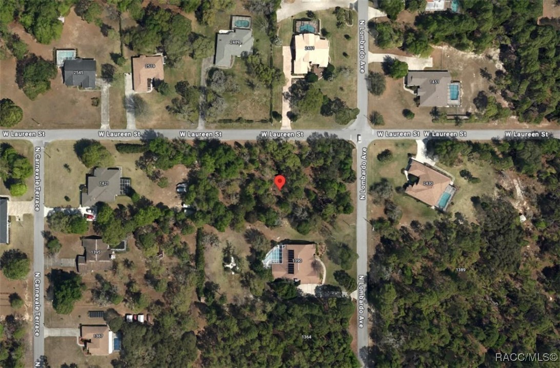 1422 N Lombardo Avenue, Lecanto, Florida image 1