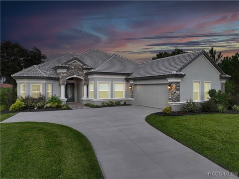 2308 N Peakview Loop Hernando FL 34442