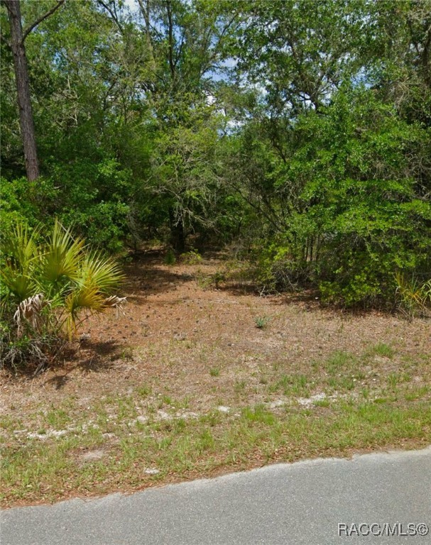 12076 W Fig Tree Lane, Crystal River, Florida image 1