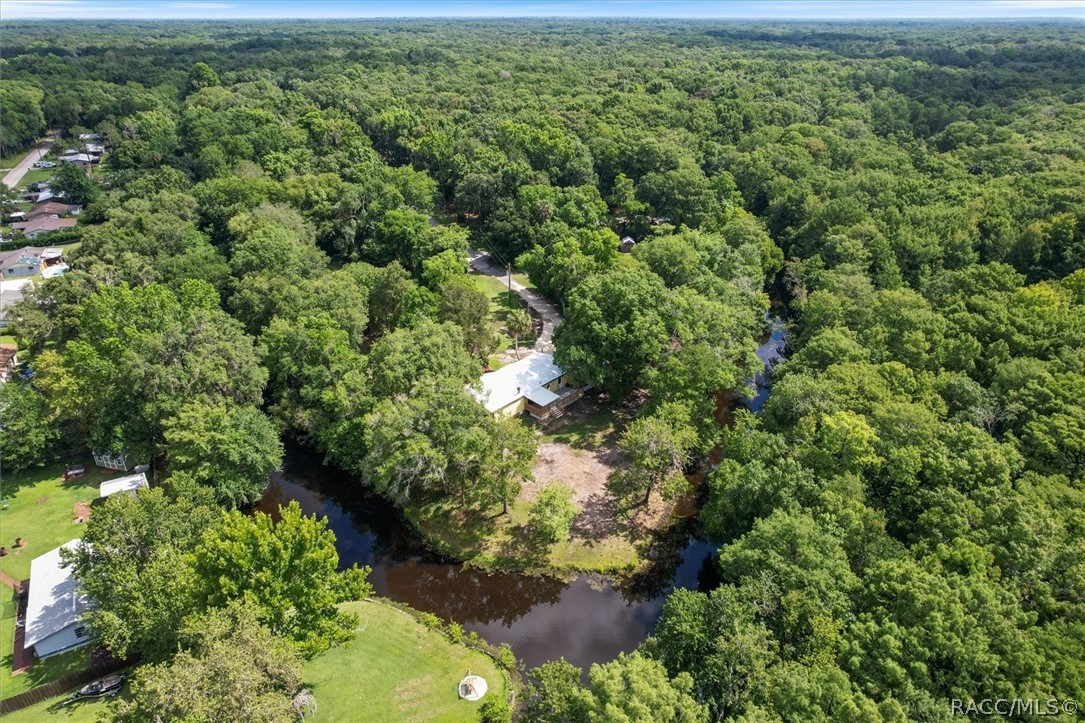 580 S Tuck Point, Inverness, Florida image 40