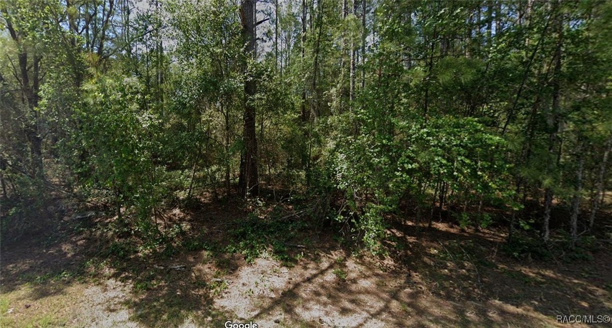 1700 E Artesian Lane, Dunnellon, Florida image 2