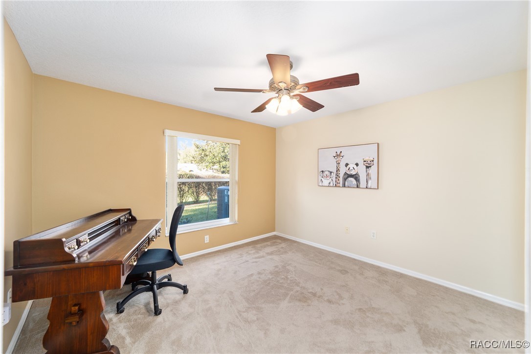 3338 N Chandler Drive, Hernando, Florida image 31