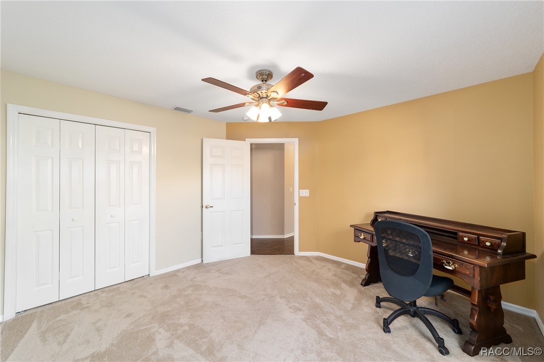 3338 N Chandler Drive, Hernando, Florida image 32