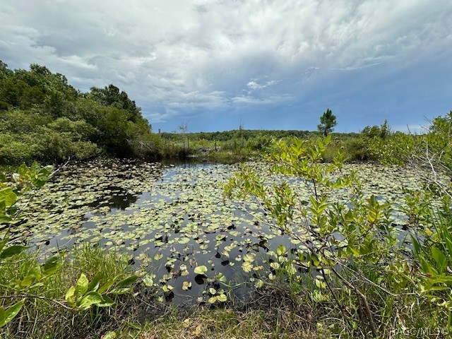 6672 E Channel Drive, Hernando, Florida image 11