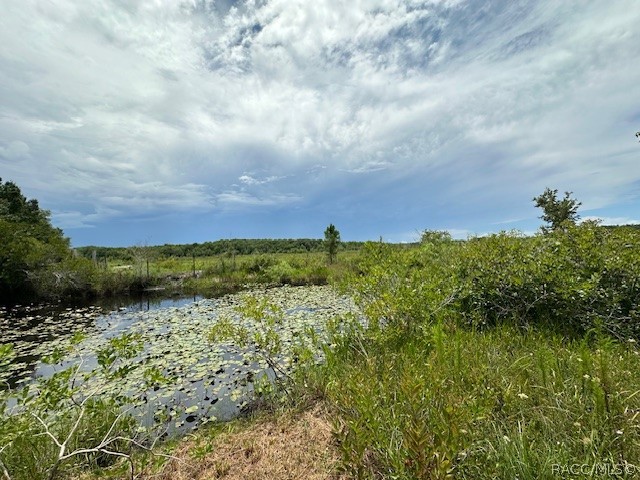 6672 E Channel Drive, Hernando, Florida image 10