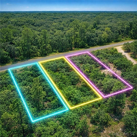 Vacant Land For Sale - SE 134th Court<br/> Levy County, Dunnellon, FL 34431