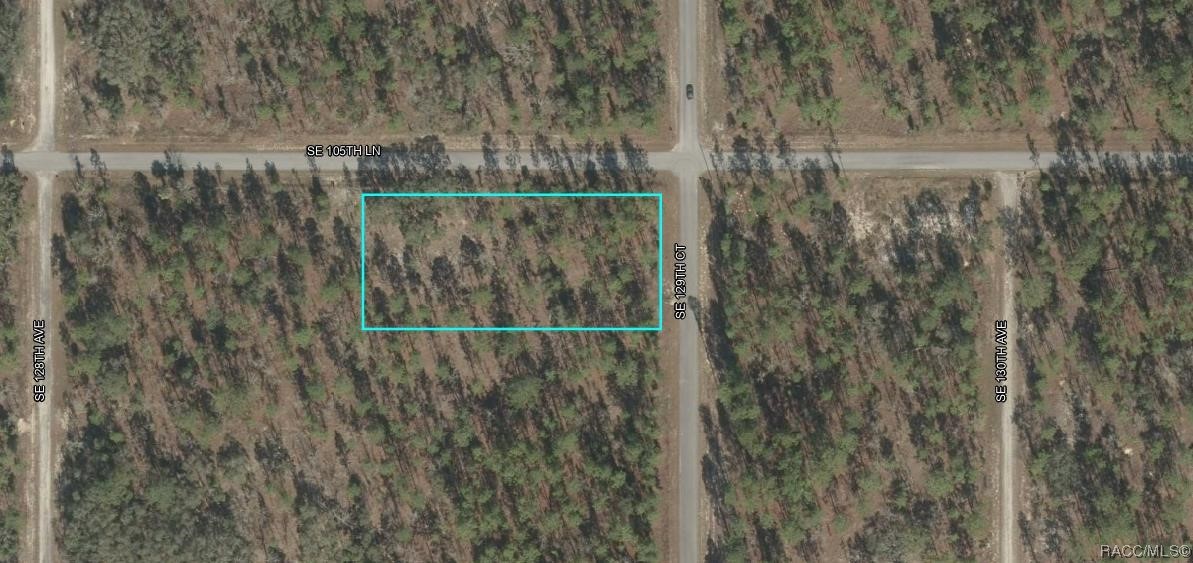 Lot 1 SE 129th Court, Dunnellon, Florida image 2