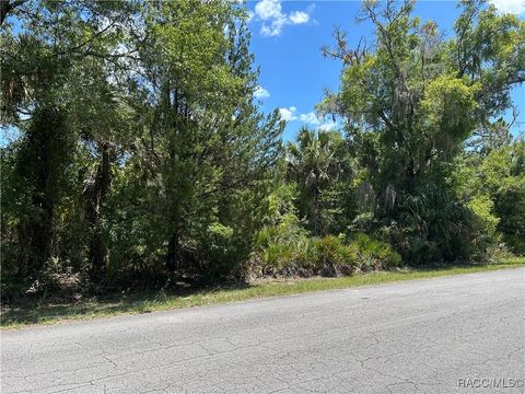 Vacant Land For Sale - 10257 N Coco Plumosa Drive<br/> Crystal River, FL 34428