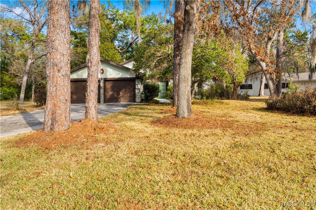 16 Boxelder Court, Homosassa, Florida image 3