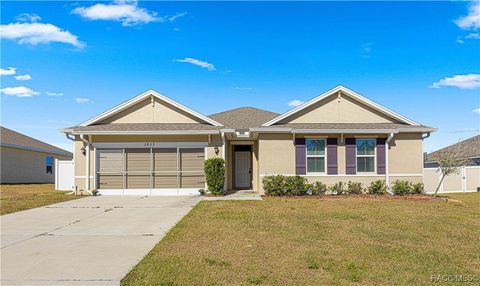 A home in Belleview